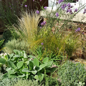 Planting Design