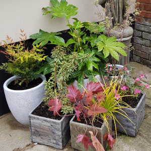 Planting Design