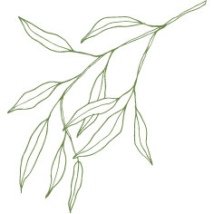 Twigsblooms-Leaf-Green